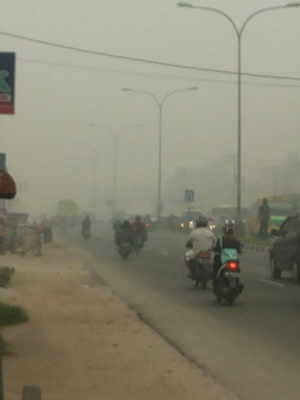 Udara di Kota Jambi Tidak Sehat karena Karhutla