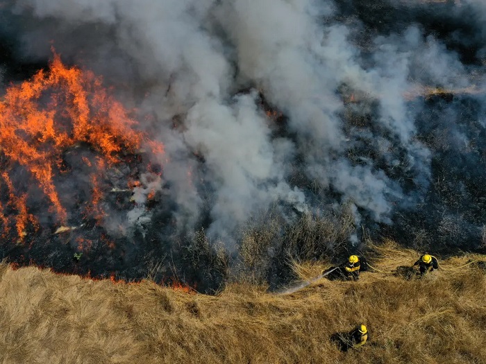 Israel Pakai Senjata Katapel Api untuk Bakar Hutan di Perbatasan Lebanon