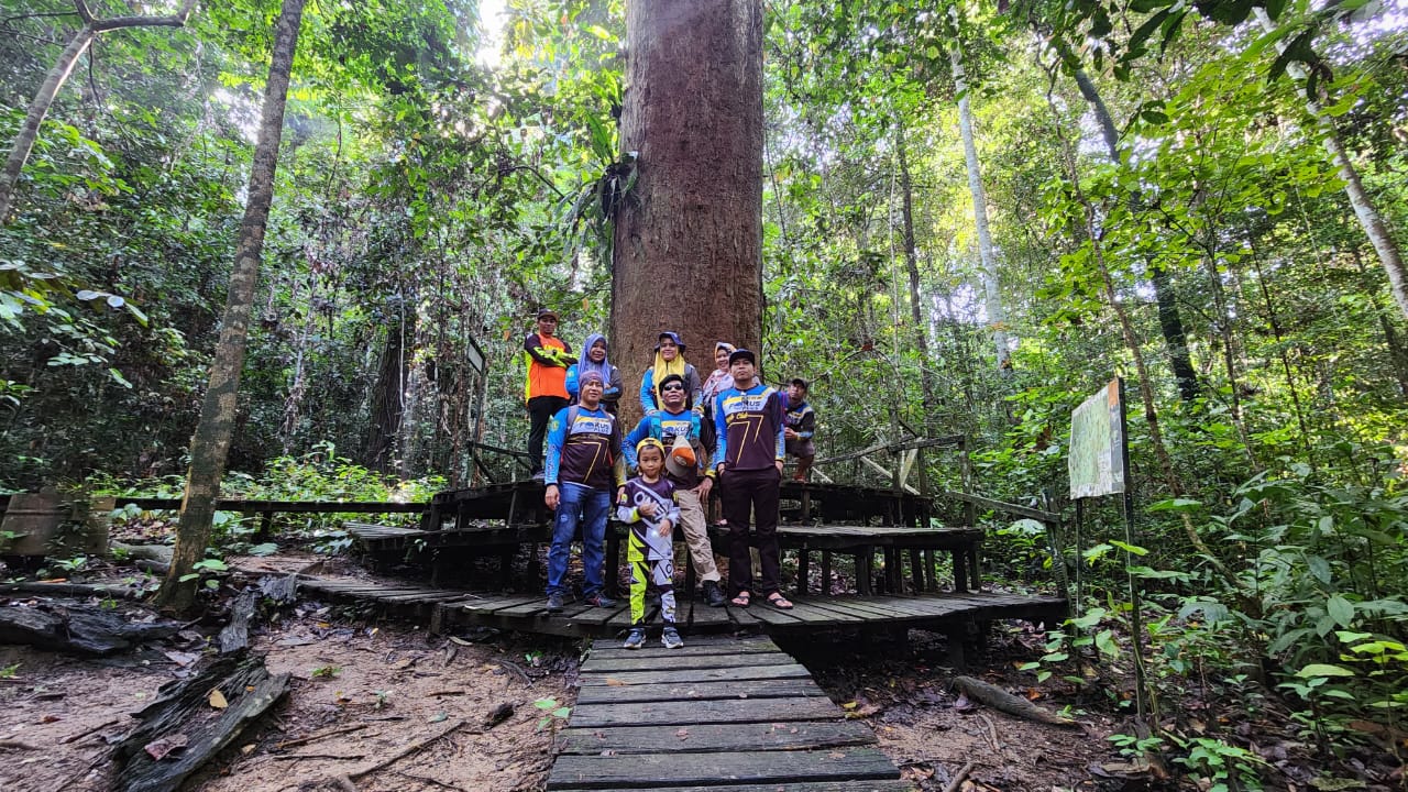 Taman Nasional Kutai, Pesona Hutan Hujan Tropis di Kalimantan Timur