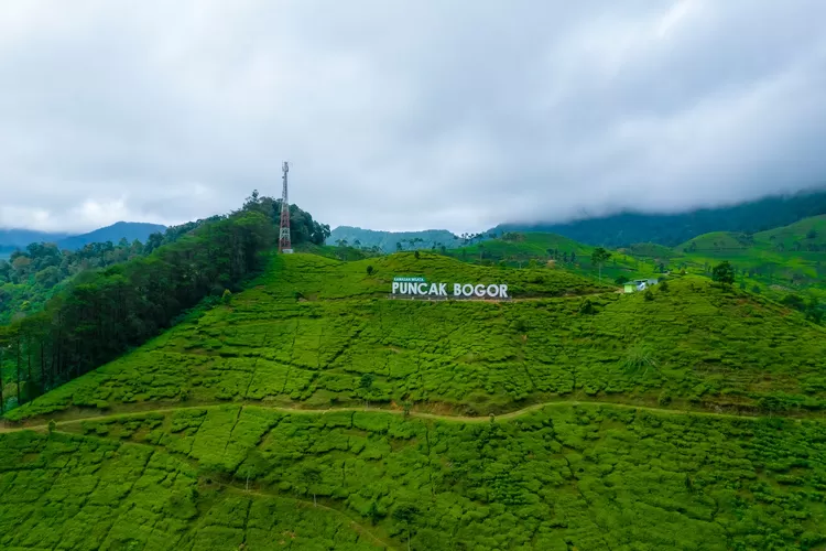 Anggota DPR Tandatangani Petisi Tolak Alih Fungsi Lahan Puncak Bogor